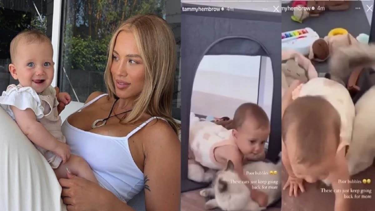 Tammy Hembrow Cat Video