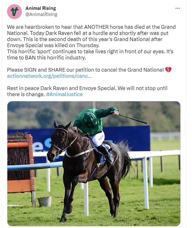 Did any horses die at the National?  Which horses died in the 2023 Grand National?