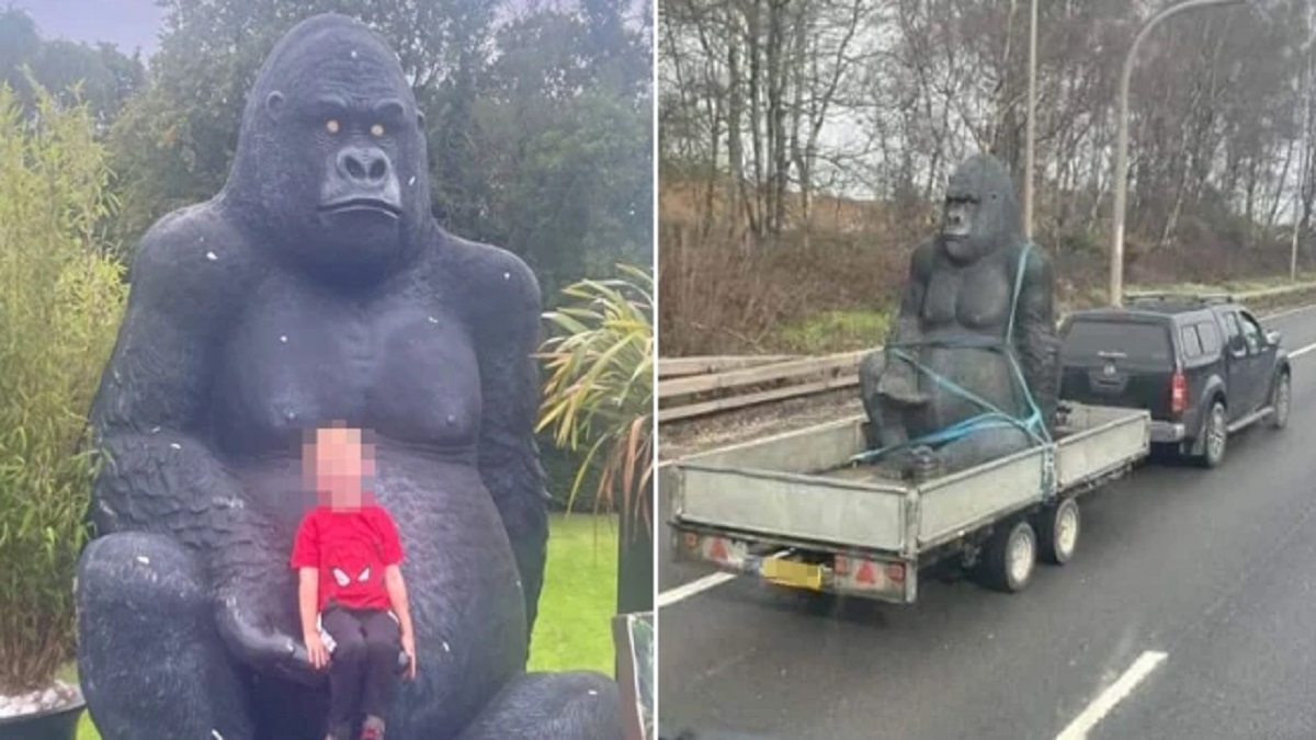 Gorilla stolen from garden center
