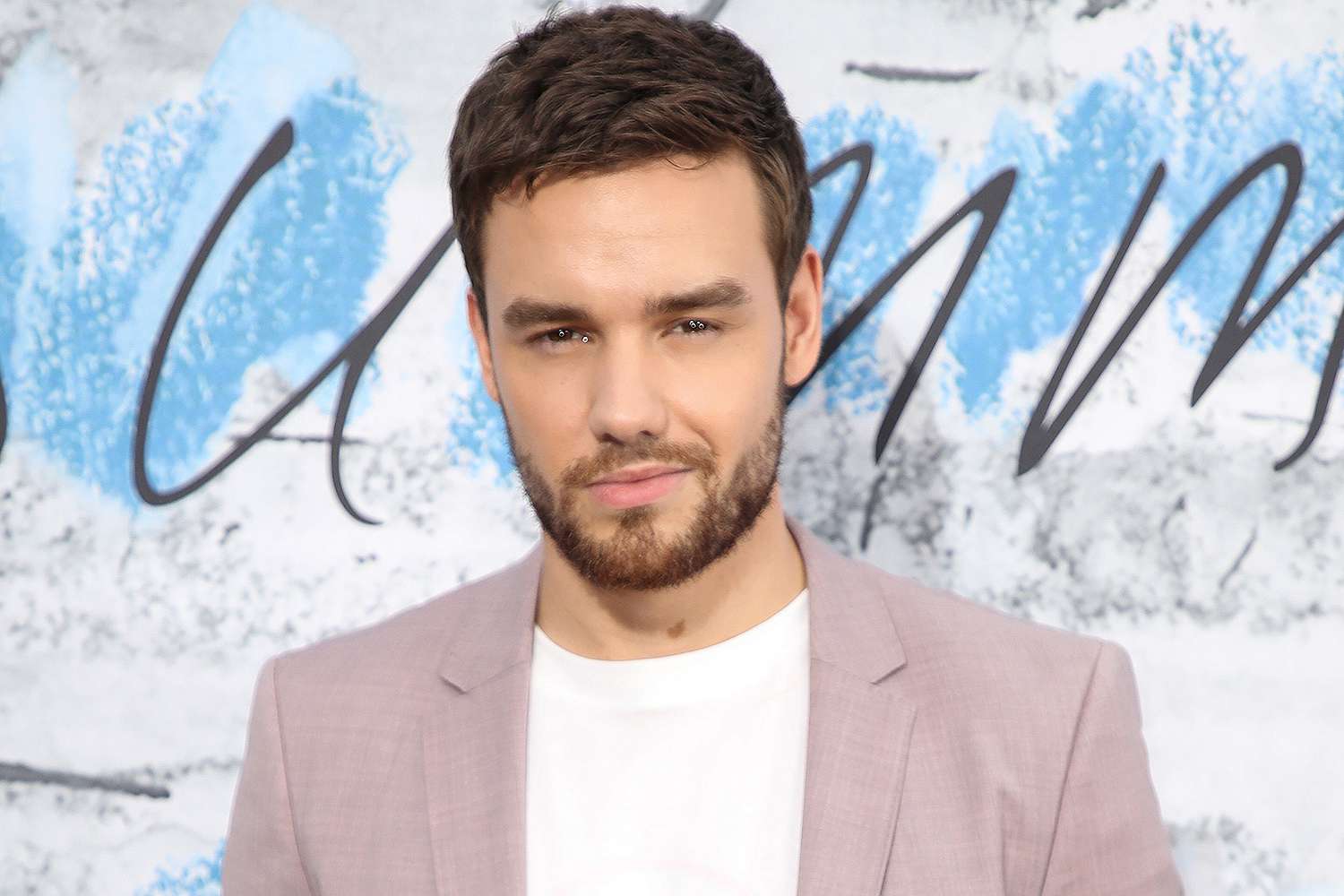 Liam's Professional Life | Gossipheadlines