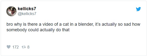 Cat in a blender video 