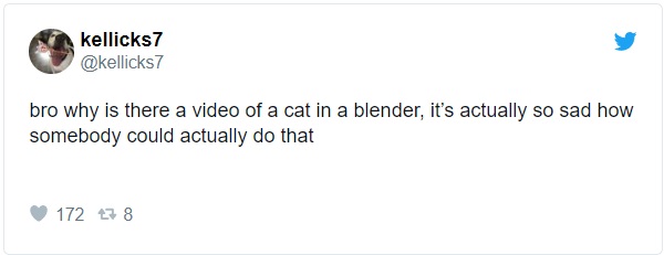 Cat in a blender video 