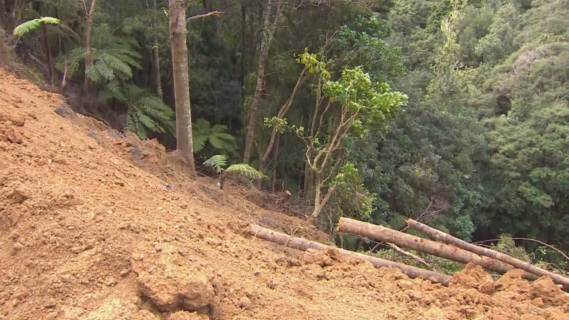 Quad bike accident in Whangateau