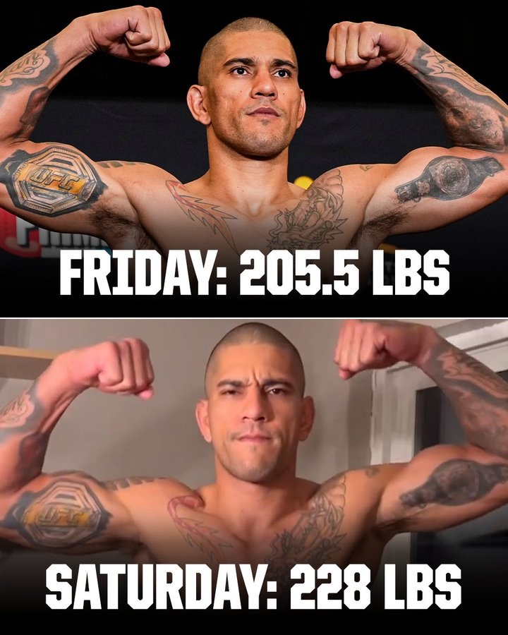 Alex Pereira Weight Loss