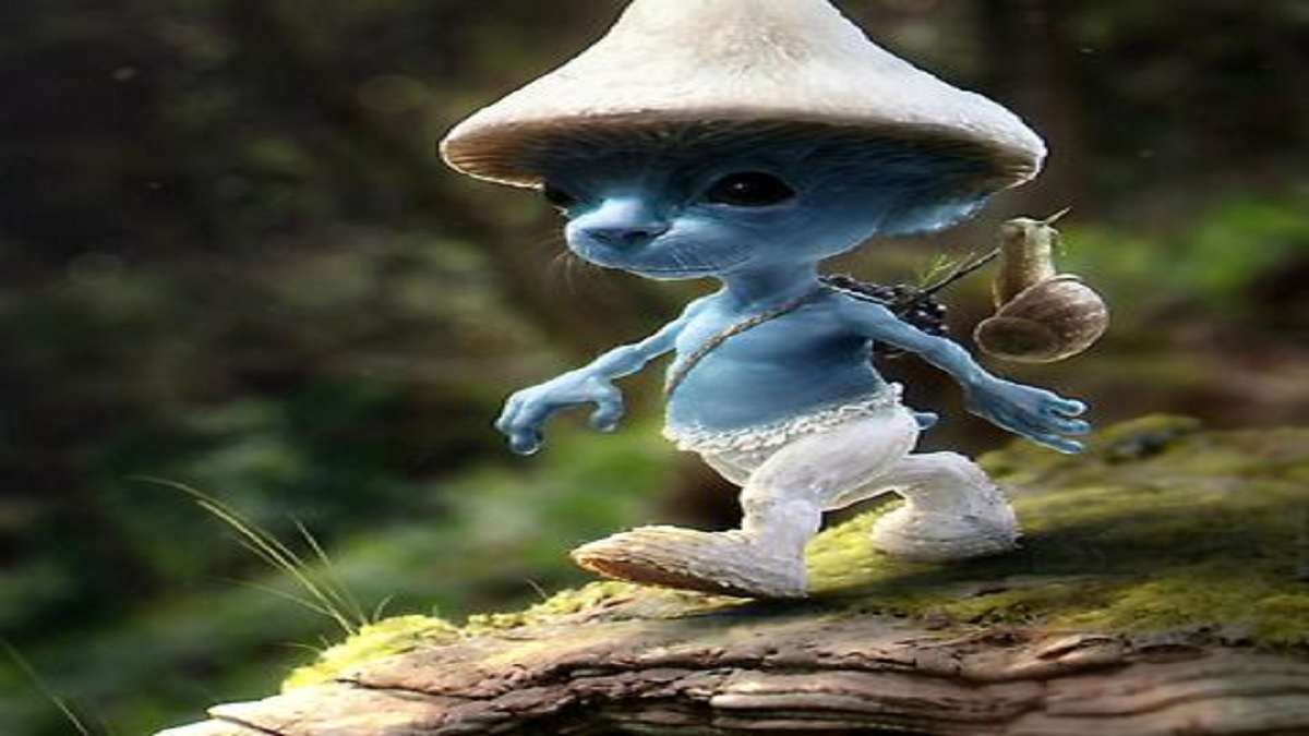 WATCH Blue Smurf Cat viral meme video, Blue Smurf Cat meme explained