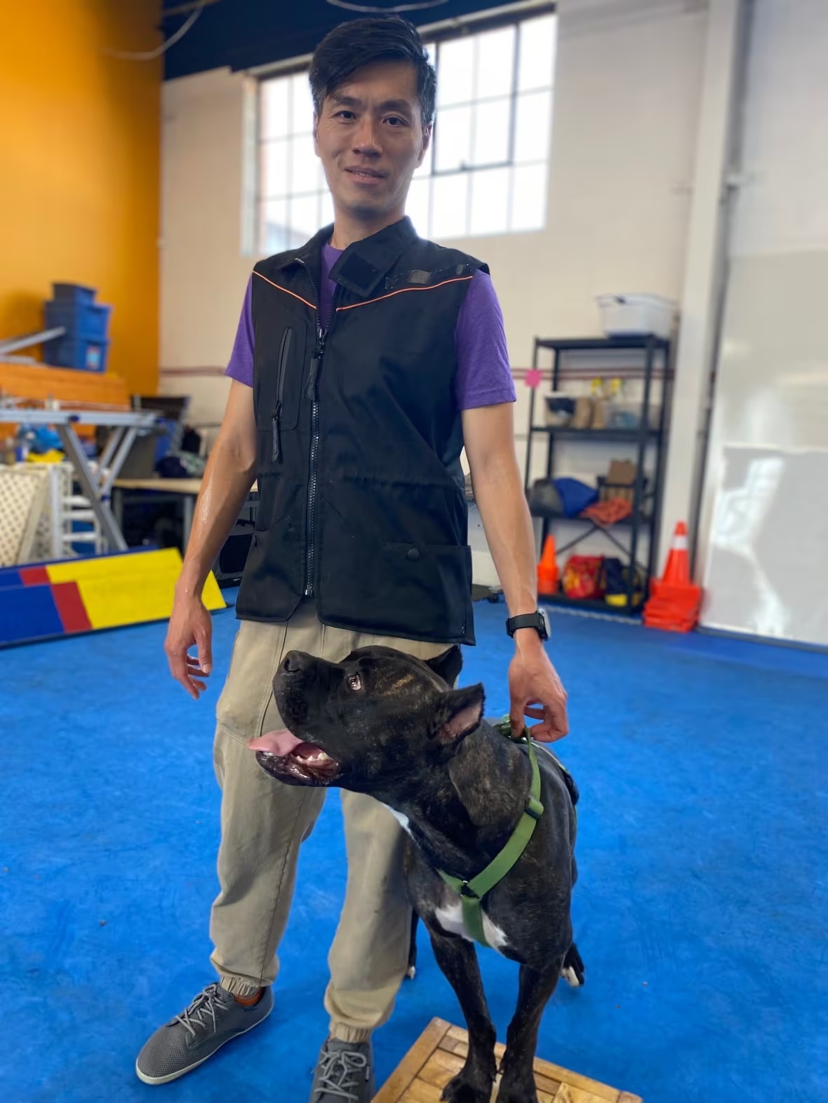 Dog Trainer Toronto