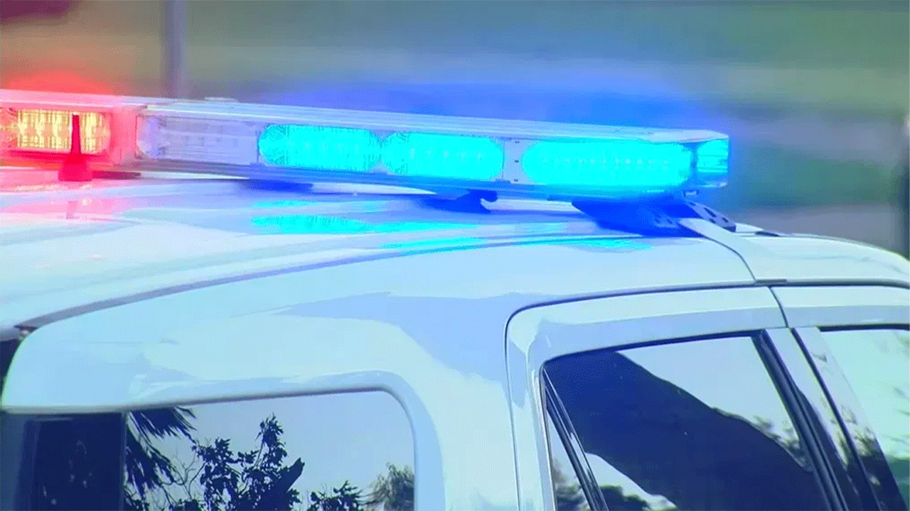 Caso de suicidio de Palos Hills Departamento de policía de Palos Hills