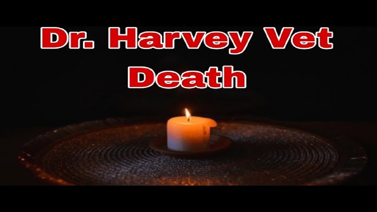 Dr Harvey Vet 