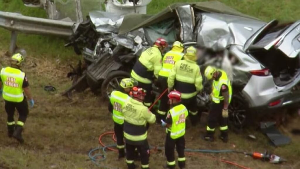 Dunedin Accident News Today Pedestrian Dead After Being Hit By Runaway Truck