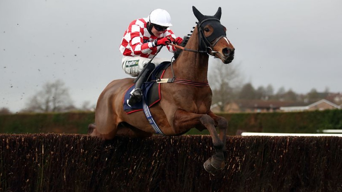 Did Any Horses Die In The National? Which Horses Died At Grand National