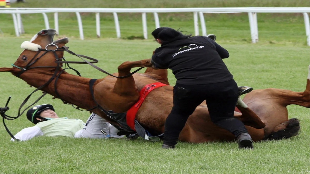 What happened to Hannah Serfass? 15YearOld Equestrian Dies In