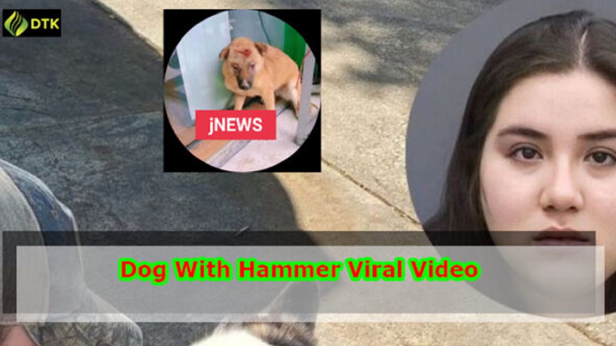 Viral video of the dog with a hammer