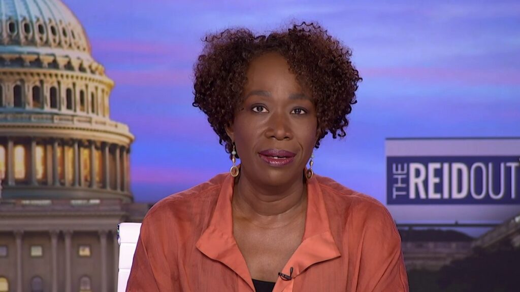 What happened to joy reid on msnbc where is american television host