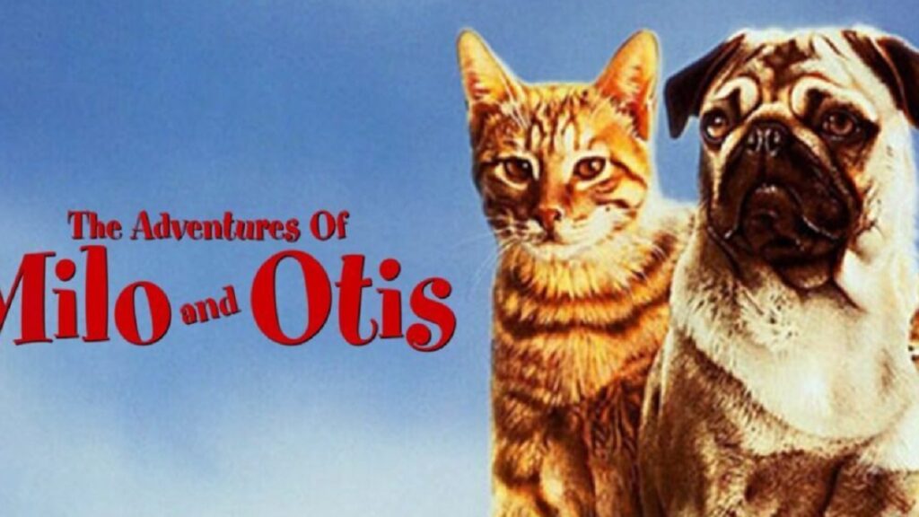 The Untold Story Of Milo And Otis Death And Controversy - h4q8kso