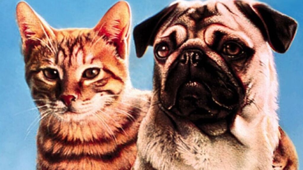 The Adventures Of Milo And Otis Animal Abuse Milo and Otis Animal Abuse Controversy and Scandal explained