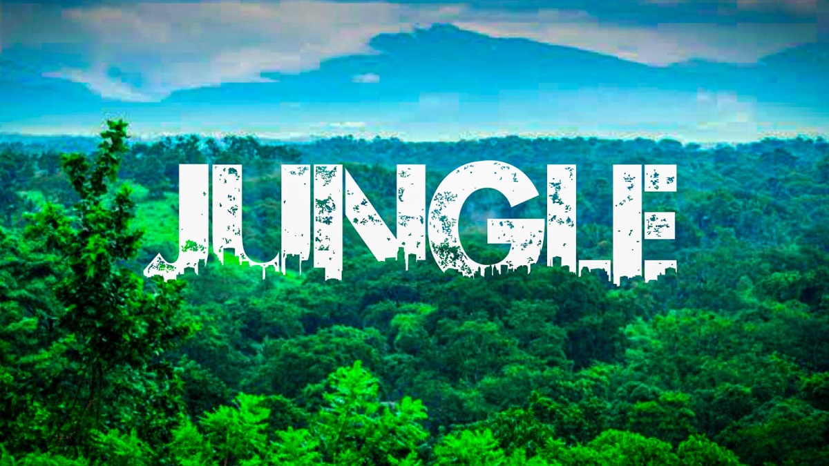 URBAN Jungle Font CapCut Template Trend Link 2023: Step-By-Step Guide