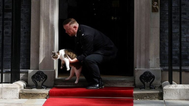 WATCH: Larry the Cat Removed From Downing Street Red Carpet