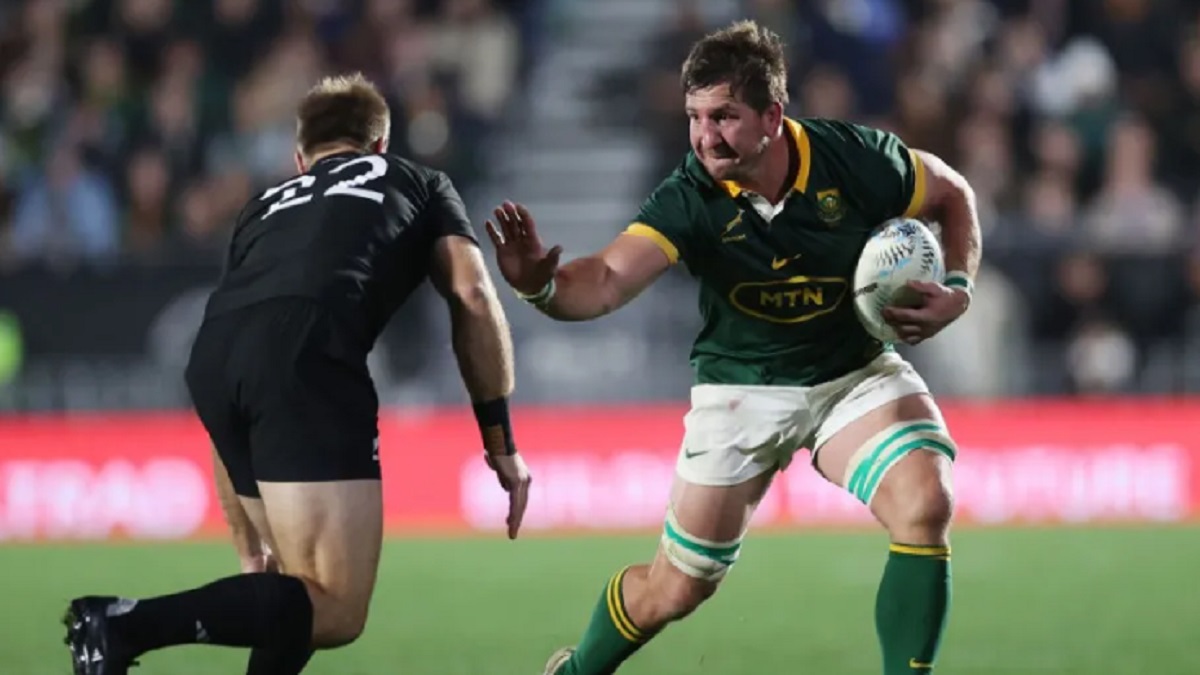 Springboks Player Ratings Vs All Blacks Rugby Championship