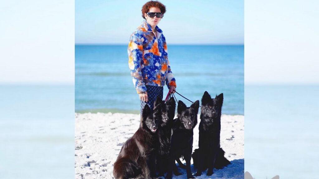 Dog Daddy The Dog Daddy Instagram Video Controversy Explained