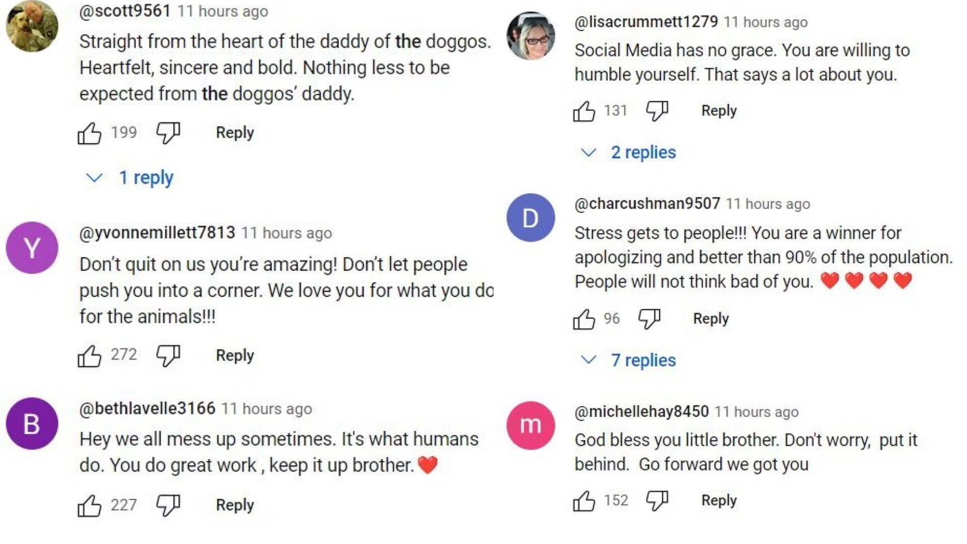 The Dog Daddy Instagram Video Controversy Explained