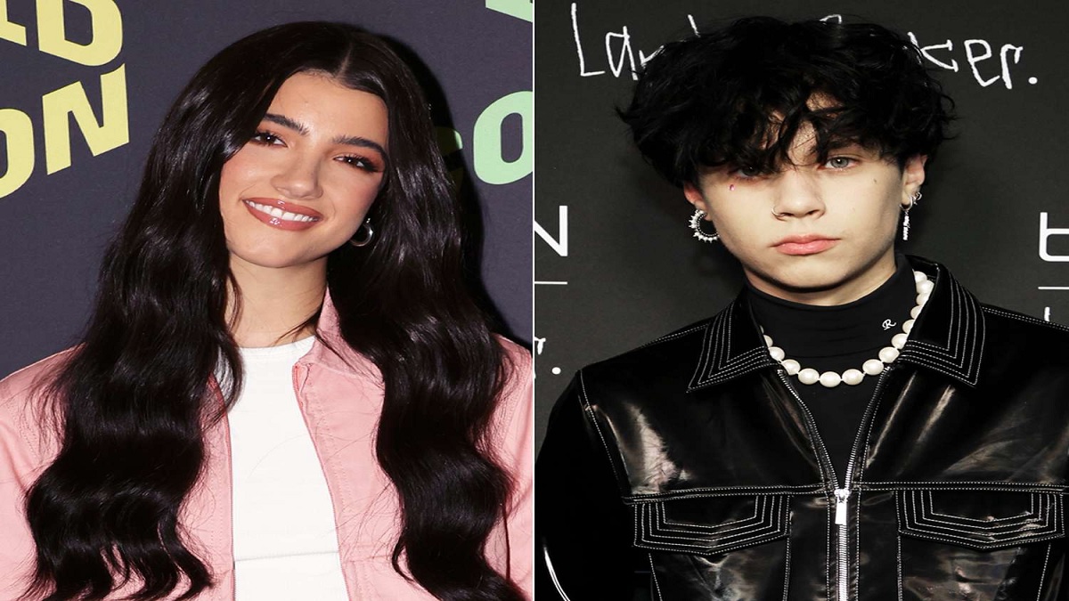 Charli And Landon Break Up: Who Does Charli Love?