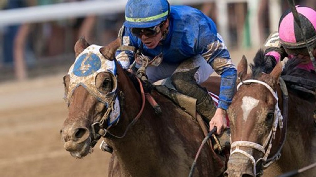 Maple Leaf Mel Accident Saratoga Horse Accident Today NewsFinale