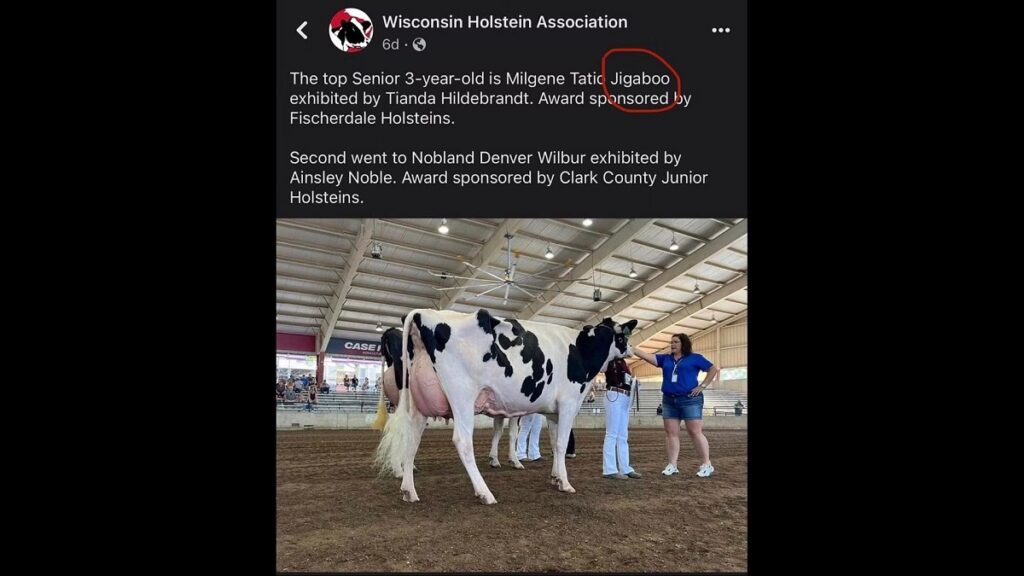 Wisconsin State Fair Cow Name, after racial slur sparks State Fair