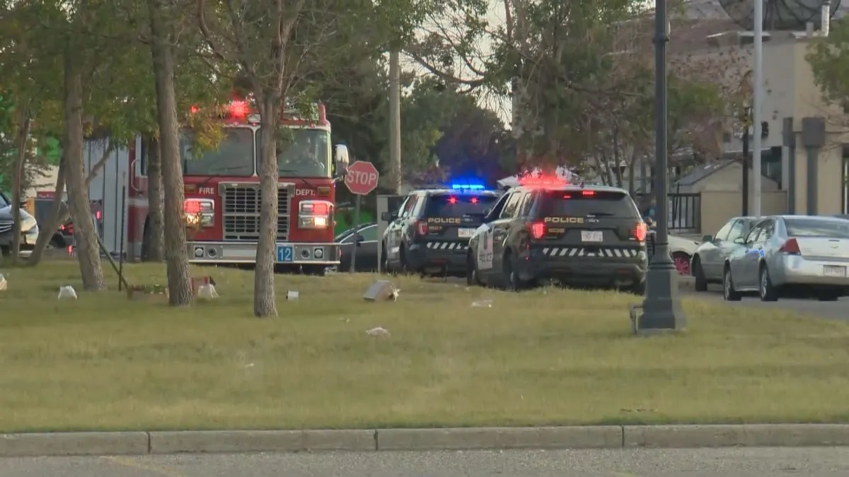 Calgary Falconridge Incident Rival Eritrean groups clash in northeast