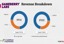 Gameberry revenue grew