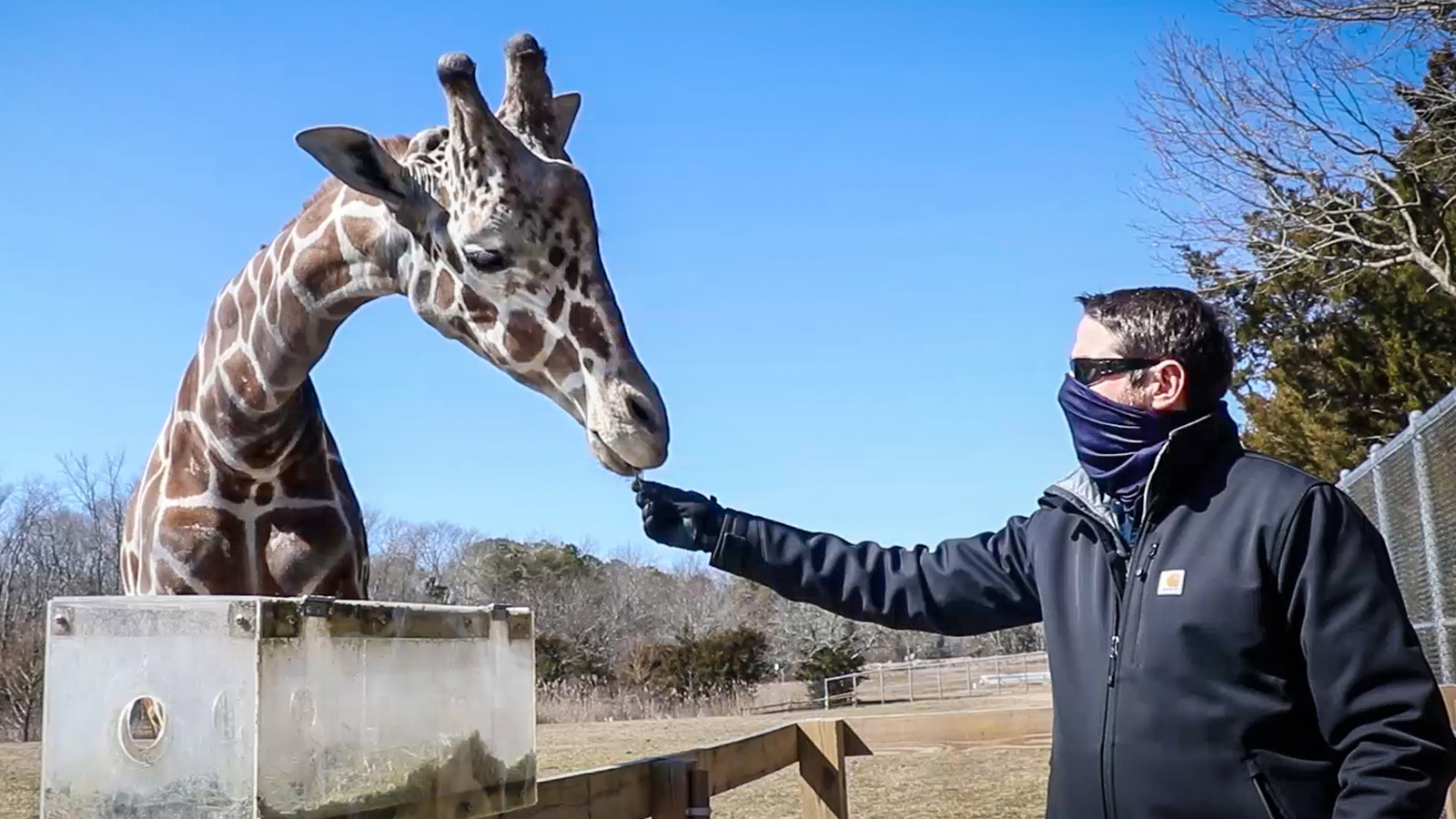 Cape May Zoo Veterinarian Dies